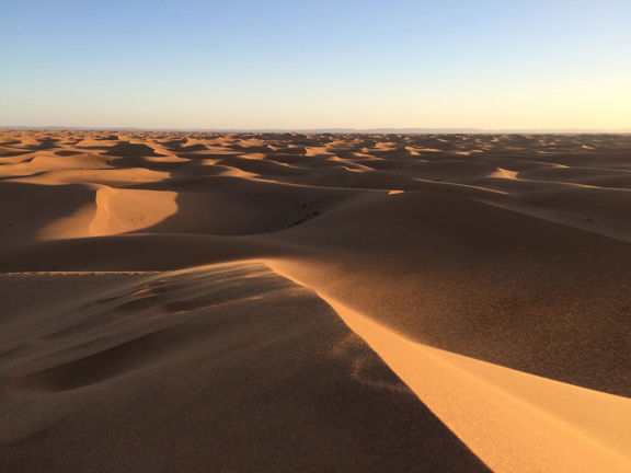 Zandduinen Zandduinen in de woestijn bij laagstaande zon